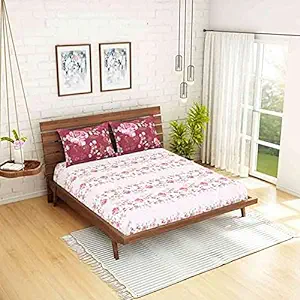 Spaces Atrium 144 TC 100% Cotton King Size Double Bedsheet with 2 Pillow Covers (Floral, 88″ X 108″ Inches) – Strawberry